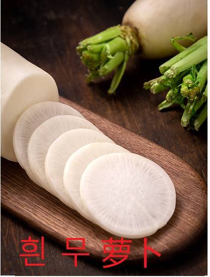 White Radish （白萝卜）